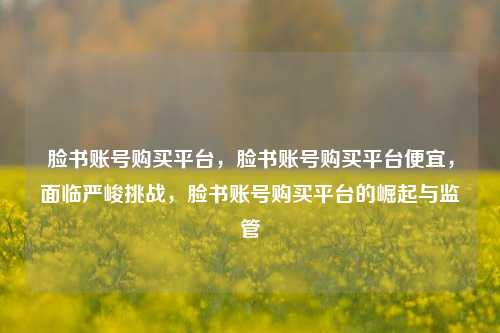 脸书账号购买平台，脸书账号购买平台便宜，面临严峻挑战，脸书账号购买平台的崛起与监管