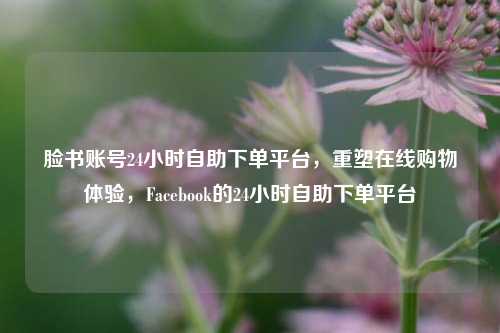 脸书账号24小时自助下单平台，重塑在线购物体验，Facebook的24小时自助下单平台