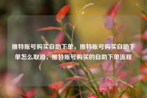 推特账号购买自助下单，推特账号购买自助下单怎么取消，推特账号购买的自助下单流程