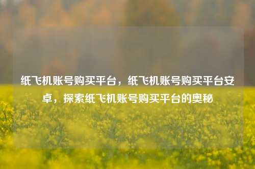 纸飞机账号购买平台，纸飞机账号购买平台安卓	，探索纸飞机账号购买平台的奥秘  第1张