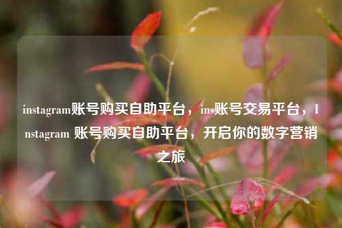 instagram账号购买自助平台，ins账号交易平台	，Instagram 账号购买自助平台，开启你的数字营销之旅  第1张
