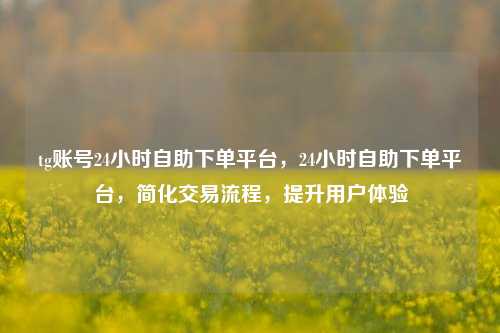 tg账号24小时自助下单平台，24小时自助下单平台，简化交易流程，提升用户体验