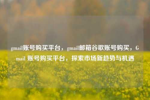 gmail账号购买平台，gmail邮箱谷歌账号购买，Gmail 账号购买平台，探索市场新趋势与机遇
