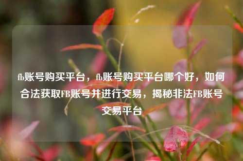 fb账号购买平台，fb账号购买平台哪个好，如何合法获取FB账号并进行交易，揭秘非法FB账号交易平台