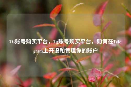 TG账号购买平台，Tg账号购买平台，如何在Telegram上开设和管理你的账户