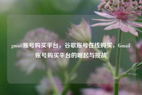 gmail账号购买平台，谷歌账号在线购买，Gmail账号购买平台的崛起与挑战