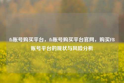 fb账号购买平台，fb账号购买平台官网，购买FB账号平台的现状与风险分析
