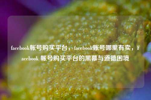facebook帐号购买平台，facebook账号哪里有卖，Facebook 帐号购买平台的黑幕与道德困境