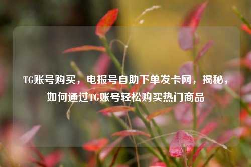 TG账号购买，电报号自助下单发卡网，揭秘，如何通过TG账号轻松购买热门商品