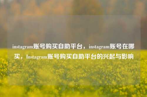 instagram账号购买自助平台，instagram账号在哪买，Instagram账号购买自助平台的兴起与影响
