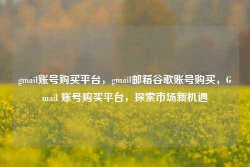 gmail账号购买平台，gmail邮箱谷歌账号购买，Gmail 账号购买平台，探索市场新机遇