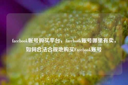 facebook帐号购买平台，facebook账号哪里有卖，如何合法合规地购买Facebook账号