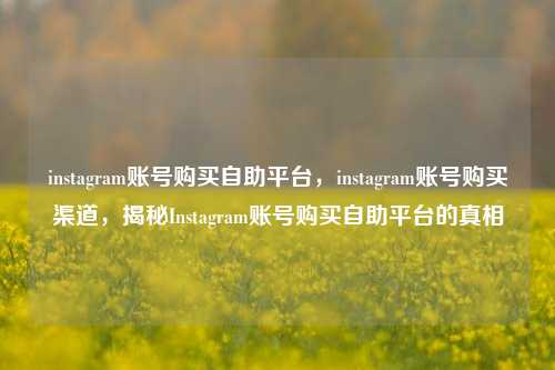 instagram账号购买自助平台，instagram账号购买渠道，揭秘Instagram账号购买自助平台的真相