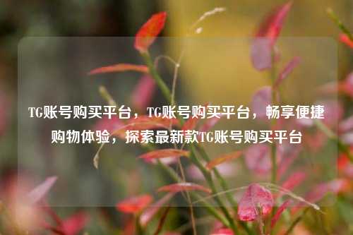 TG账号购买平台，TG账号购买平台，畅享便捷购物体验，探索最新款TG账号购买平台
