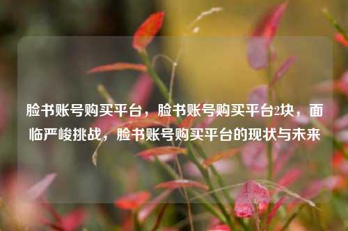 脸书账号购买平台，脸书账号购买平台2块，面临严峻挑战，脸书账号购买平台的现状与未来