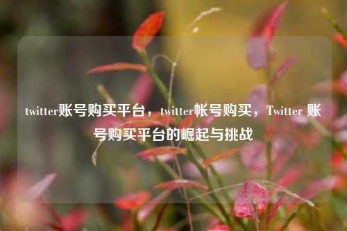 twitter账号购买平台，twitter帐号购买，Twitter 账号购买平台的崛起与挑战