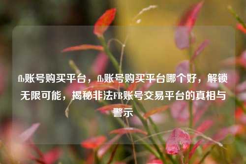 fb账号购买平台，fb账号购买平台哪个好，解锁无限可能，揭秘非法FB账号交易平台的真相与警示