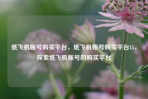 纸飞机账号购买平台，纸飞机账号购买平台15，探索纸飞机账号的购买平台