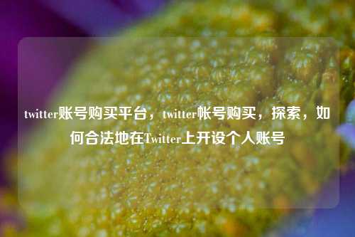twitter账号购买平台，twitter帐号购买，探索，如何合法地在Twitter上开设个人账号