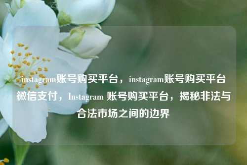 instagram账号购买平台，instagram账号购买平台微信支付，Instagram 账号购买平台，揭秘非法与合法市场之间的边界