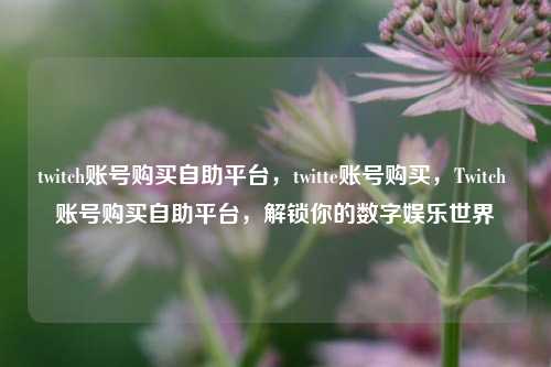 twitch账号购买自助平台，twitte账号购买，Twitch 账号购买自助平台，解锁你的数字娱乐世界