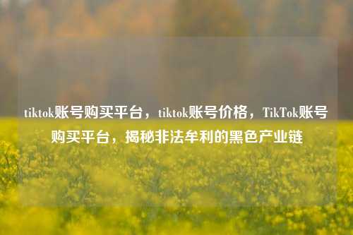 tiktok账号购买平台，tiktok账号价格，TikTok账号购买平台，揭秘非法牟利的黑色产业链