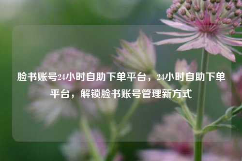 脸书账号24小时自助下单平台	，24小时自助下单平台，解锁脸书账号管理新方式  第1张