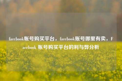 facebook帐号购买平台，facebook账号哪里有卖，Facebook 帐号购买平台的利与弊分析