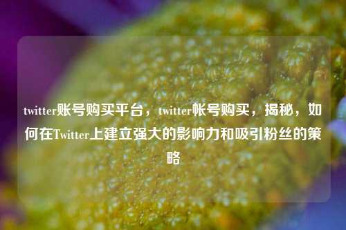 twitter账号购买平台，twitter帐号购买，揭秘，如何在Twitter上建立强大的影响力和吸引粉丝的策略  第1张