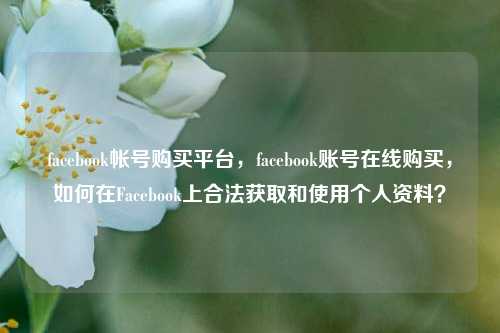 facebook帐号购买平台，facebook账号在线购买，如何在Facebook上合法获取和使用个人资料？