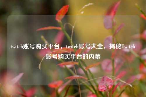 twitch账号购买平台，twitch账号大全，揭秘Twitch账号购买平台的内幕