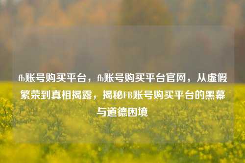 fb账号购买平台，fb账号购买平台官网，从虚假繁荣到真相揭露，揭秘FB账号购买平台的黑幕与道德困境