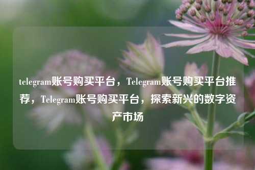 telegram账号购买平台，Telegram账号购买平台推荐，Telegram账号购买平台，探索新兴的数字资产市场