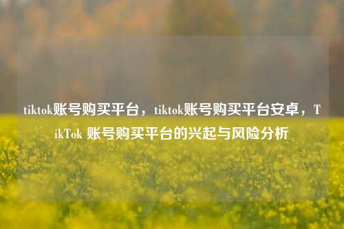 tiktok账号购买平台，tiktok账号购买平台安卓，TikTok 账号购买平台的兴起与风险分析