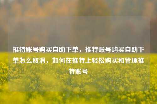 推特账号购买自助下单，推特账号购买自助下单怎么取消，如何在推特上轻松购买和管理推特账号