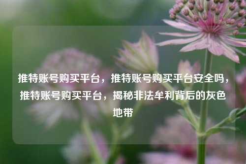 推特账号购买平台，推特账号购买平台安全吗，推特账号购买平台，揭秘非法牟利背后的灰色地带