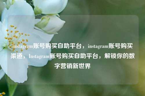 instagram账号购买自助平台，instagram账号购买渠道，Instagram账号购买自助平台，解锁你的数字营销新世界