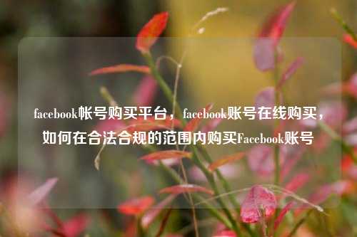 facebook帐号购买平台，facebook账号在线购买，如何在合法合规的范围内购买Facebook账号