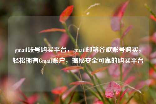 gmail账号购买平台，gmail邮箱谷歌账号购买，轻松拥有Gmail账户，揭秘安全可靠的购买平台