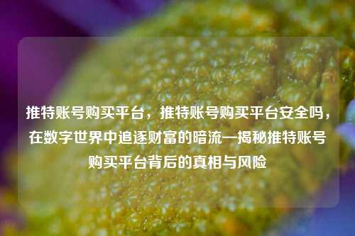 推特账号购买平台，推特账号购买平台安全吗，在数字世界中追逐财富的暗流—揭秘推特账号购买平台背后的真相与风险
