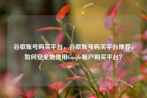 谷歌账号购买平台，谷歌账号购买平台推荐，如何安全地使用Google账户购买平台？