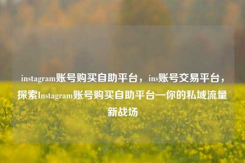 instagram账号购买自助平台，ins账号交易平台，探索Instagram账号购买自助平台—你的私域流量新战场