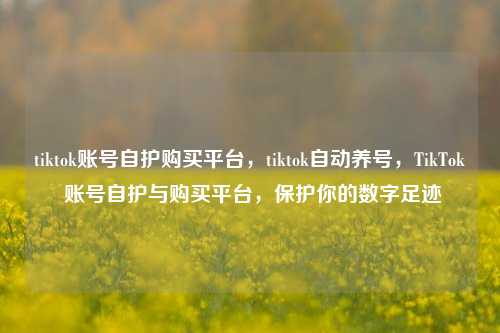 tiktok账号自护购买平台，tiktok自动养号，TikTok 账号自护与购买平台，保护你的数字足迹
