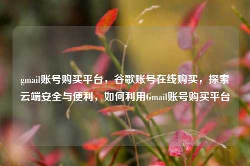 gmail账号购买平台，谷歌账号在线购买，探索云端安全与便利，如何利用Gmail账号购买平台