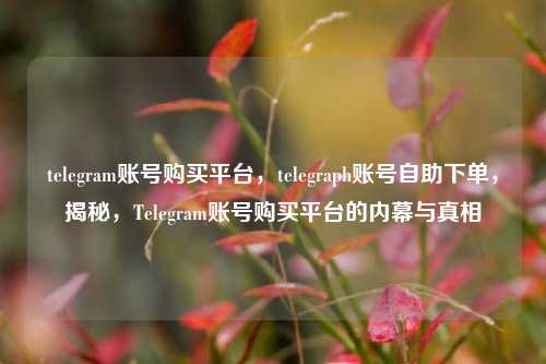 telegram账号购买平台	，telegraph账号自助下单，揭秘，Telegram账号购买平台的内幕与真相  第1张