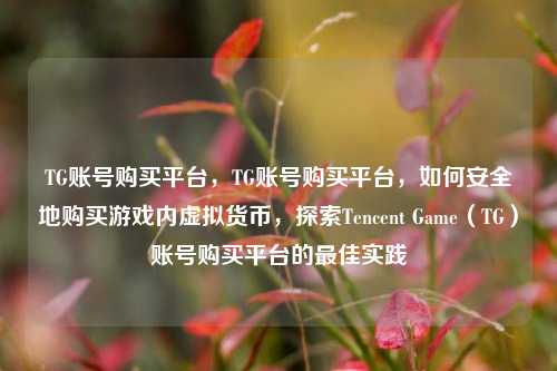 TG账号购买平台，TG账号购买平台，如何安全地购买游戏内虚拟货币，探索Tencent Game（TG）账号购买平台的最佳实践