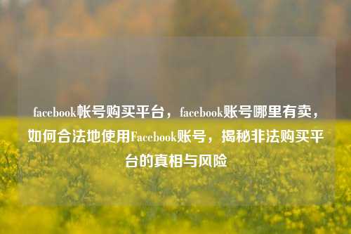 facebook帐号购买平台，facebook账号哪里有卖，如何合法地使用Facebook账号，揭秘非法购买平台的真相与风险
