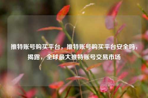 推特账号购买平台，推特账号购买平台安全吗，揭露，全球最大推特账号交易市场