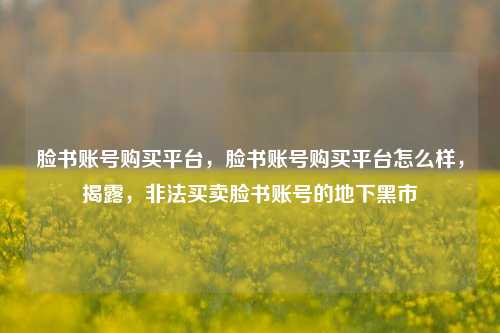 脸书账号购买平台，脸书账号购买平台怎么样，揭露，非法买卖脸书账号的地下黑市