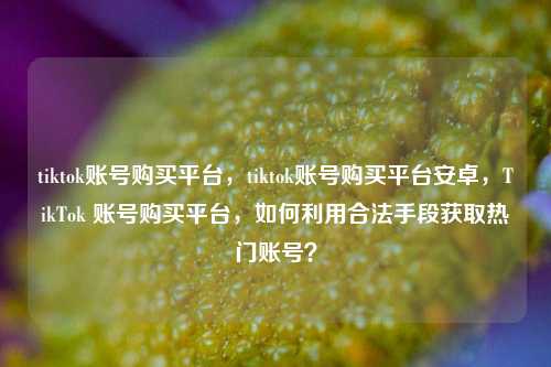 tiktok账号购买平台，tiktok账号购买平台安卓，TikTok 账号购买平台，如何利用合法手段获取热门账号？
